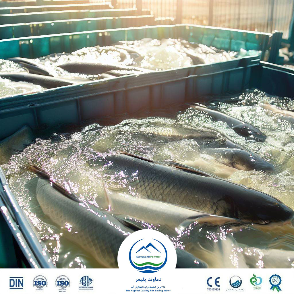 استفاده از وان پلی‌ اتیلن برای پرورش ماهی